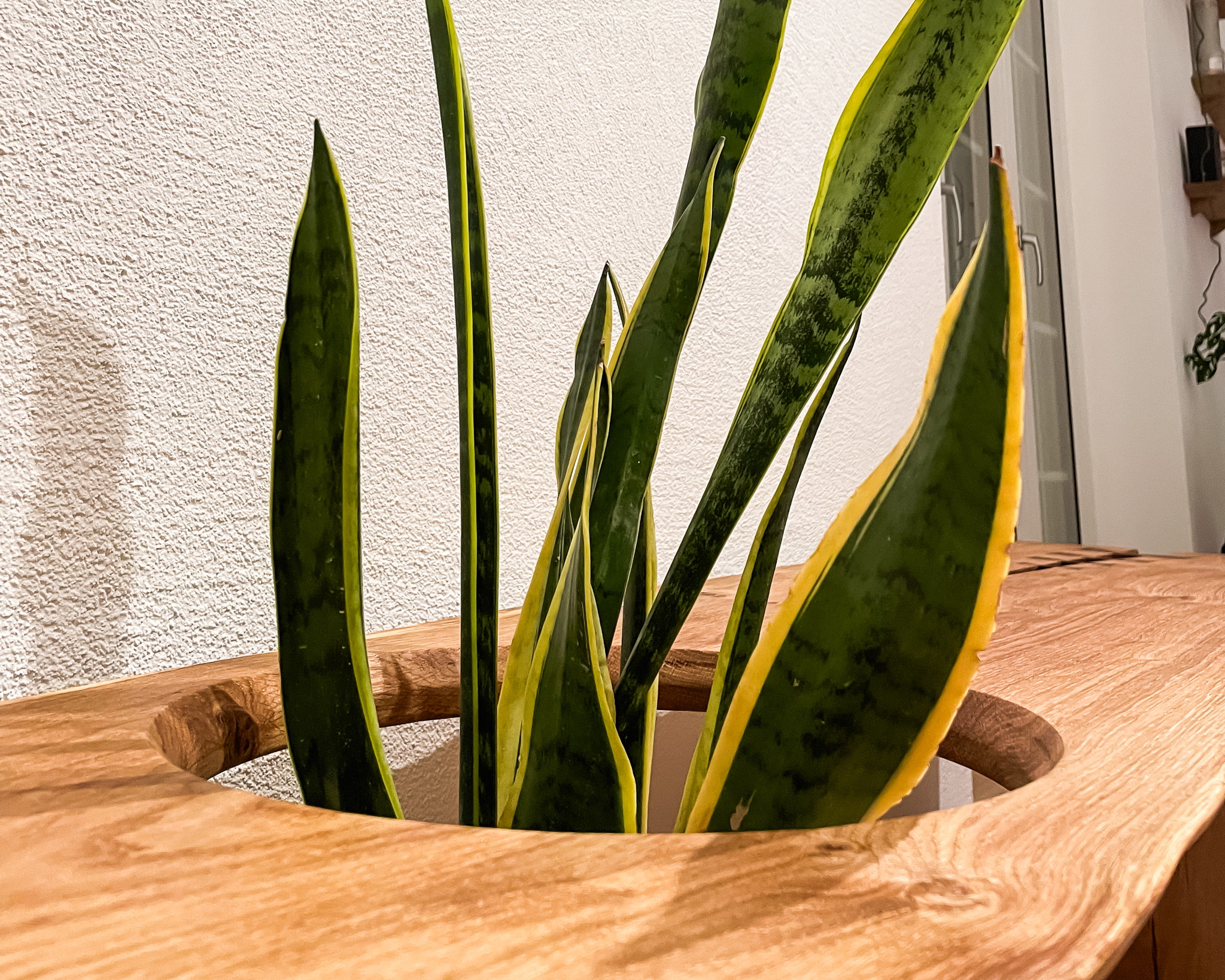 Sitzbank